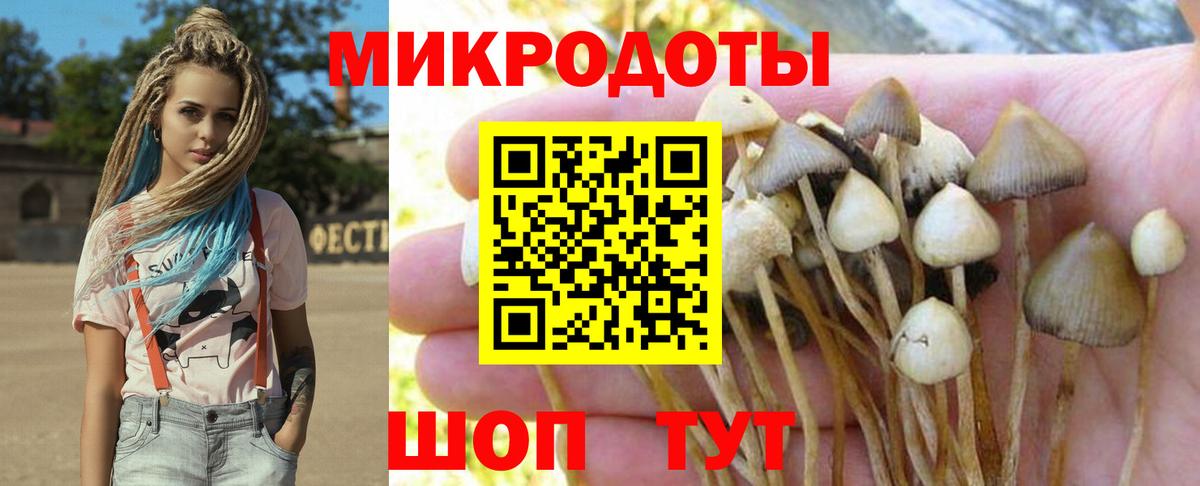 Воркута  Псилоцибиновые грибы GOLDEN TEACHER  Вход с VPN 